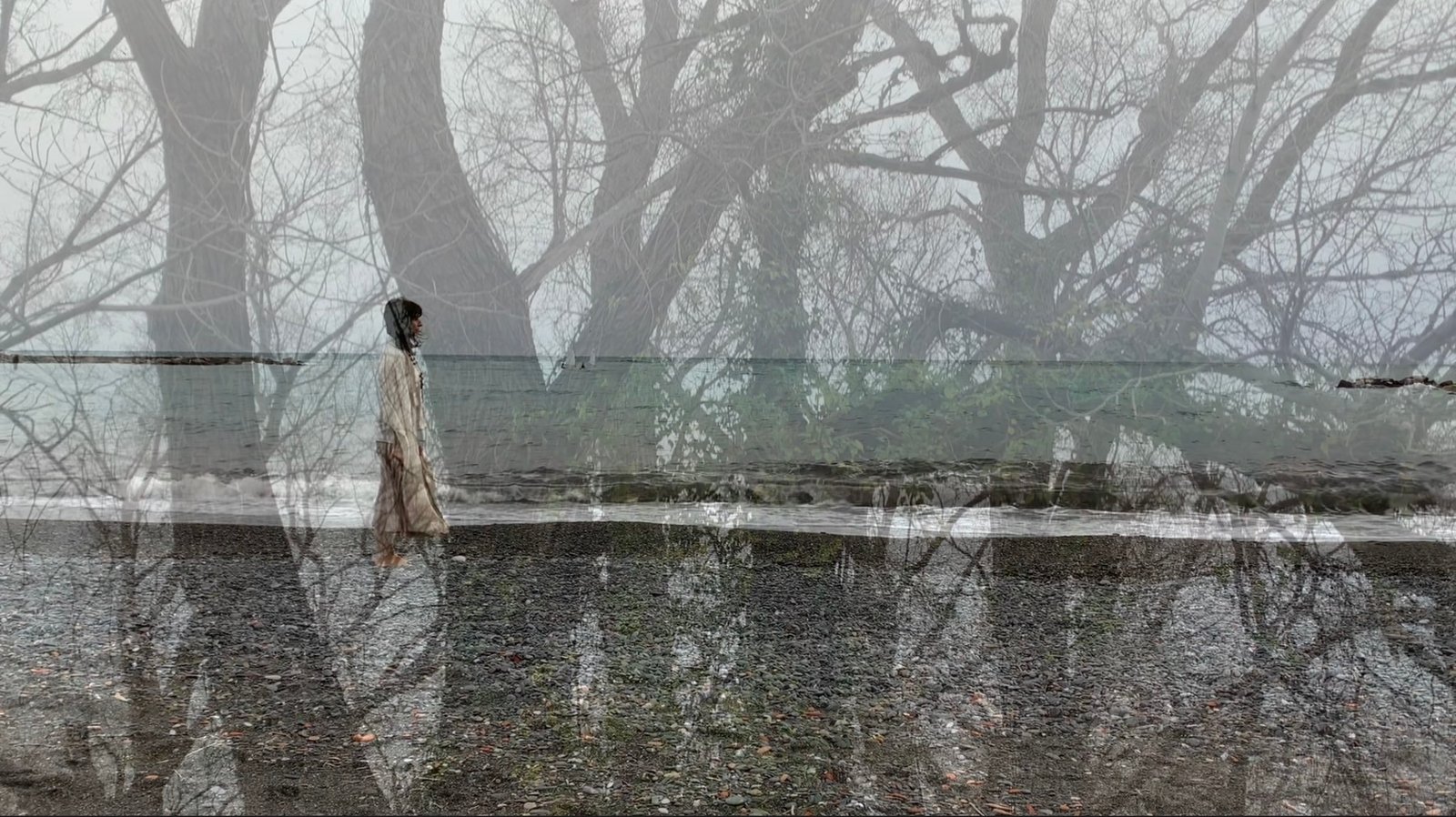 Rooting rain branching